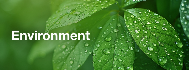 Environment